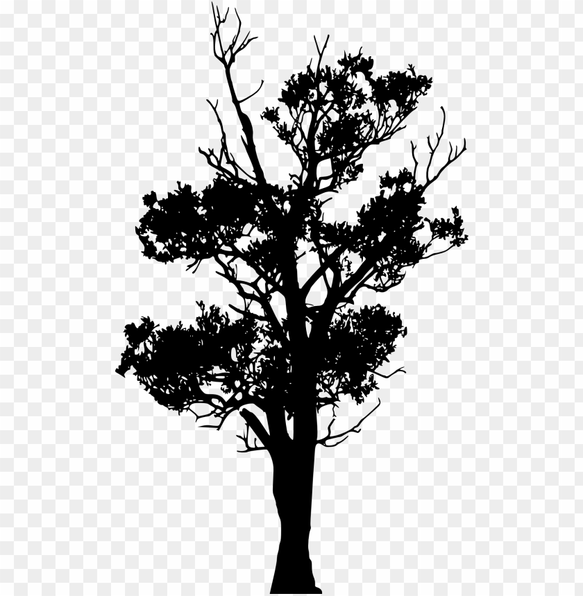 Free download | HD PNG Transparent tree silhouette PNG Image - ID 4255 ...