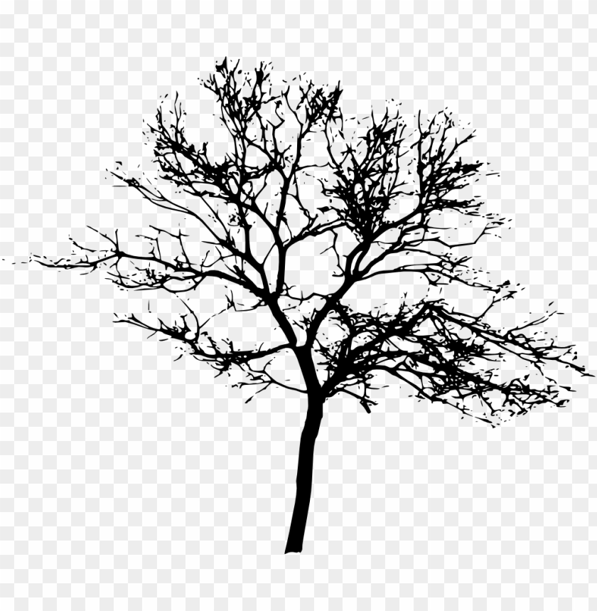 tree silhouette png free png images toppng tree silhouette png free png images