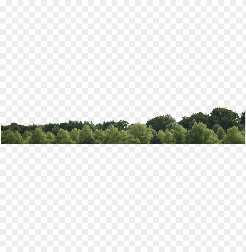 free PNG Download tree skyline png images background PNG images transparent