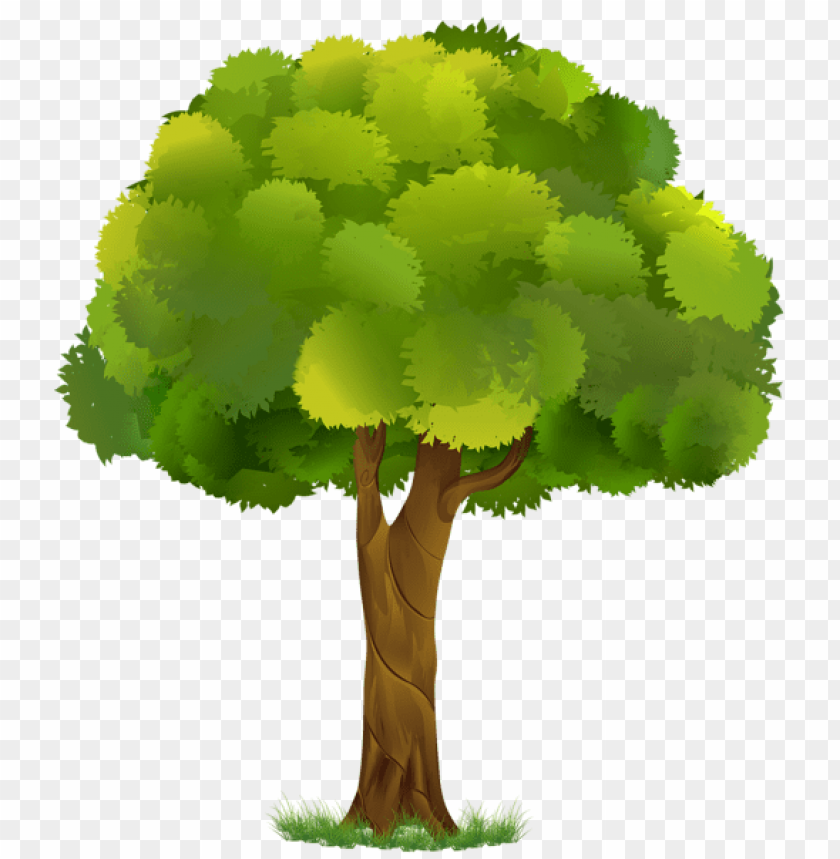 Free download | HD PNG PNG image of large tree with thick green canopy ...