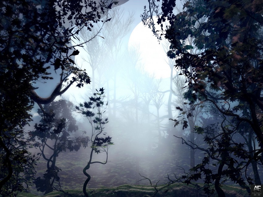 Free download | HD PNG trees fog art forest 4k wallpaper | TOPpng