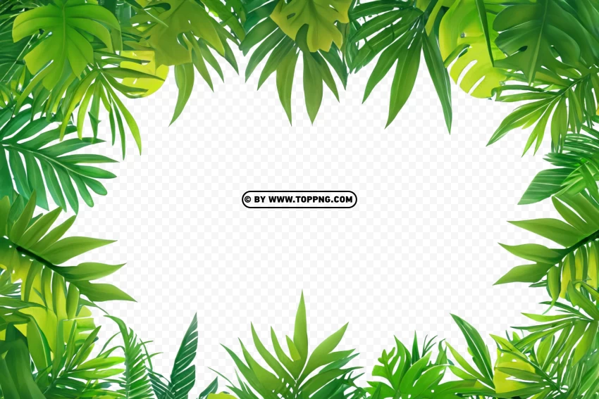 Free download HD PNG tropical forest jungle background with green