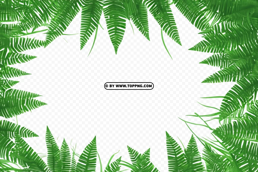 Free download | HD PNG tropical forest scene with green leaf border png ...