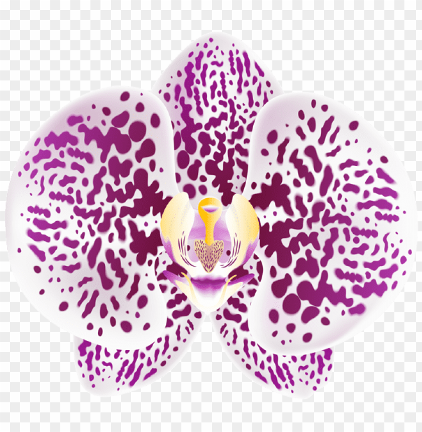 Free download | HD PNG PNG image of tropical orchid transparent with a ...