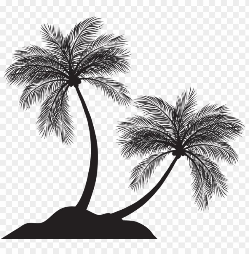 Free download | HD PNG Transparent two palm trees silhouette png PNG ...