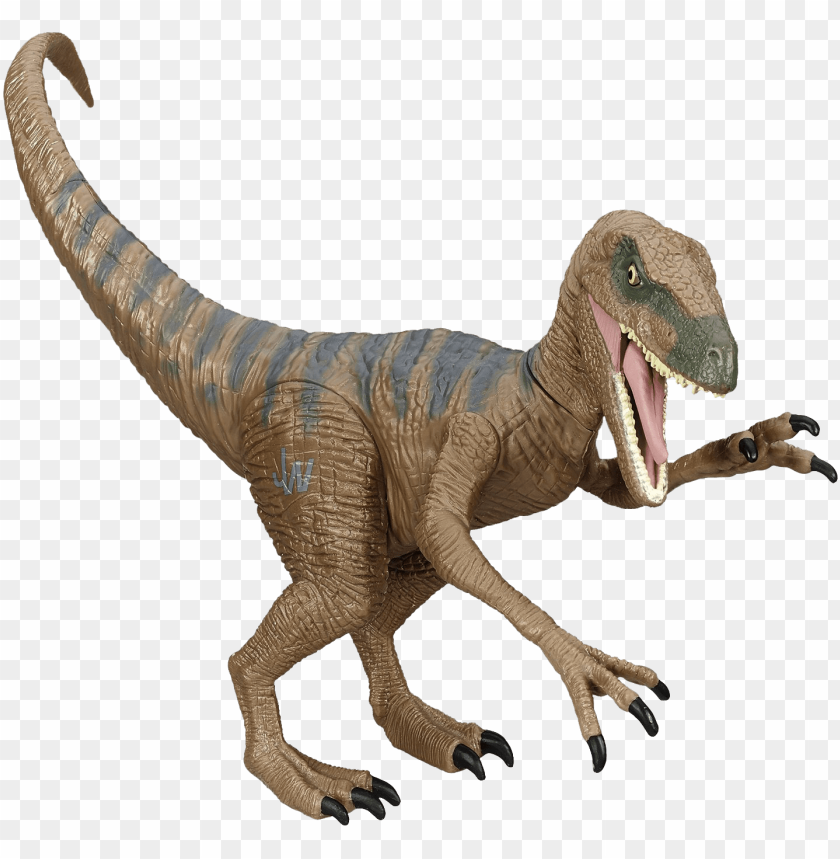 Free download | HD PNG velociraptor download png image real jurassic ...