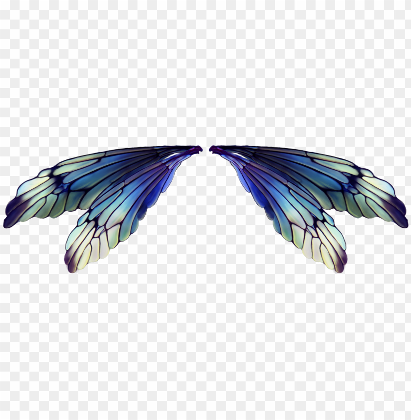 Visit Fairy Wings Transparent Background Png Image With Transparent Background Toppng - black fairy wing top roblox
