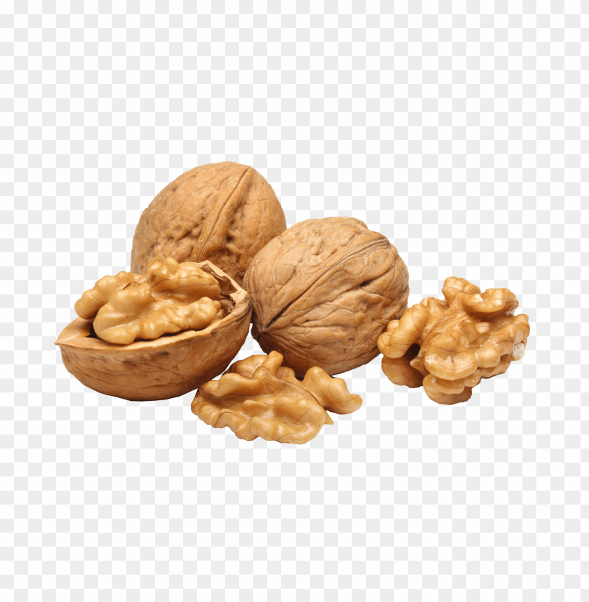 Free download | HD PNG walnut PNG images with transparent backgrounds ...
