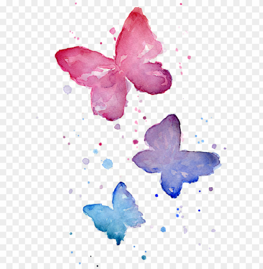Watercolor Butterfly Transparent Background Png Image With