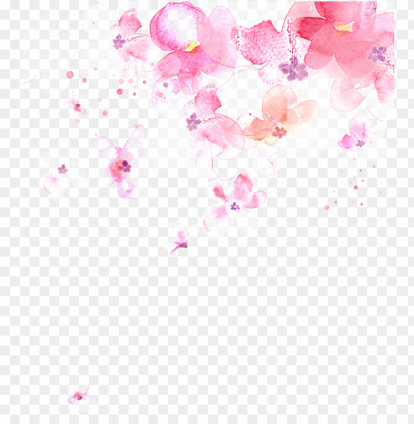 Free download | HD PNG watercolor cherry blossoms portable network ...