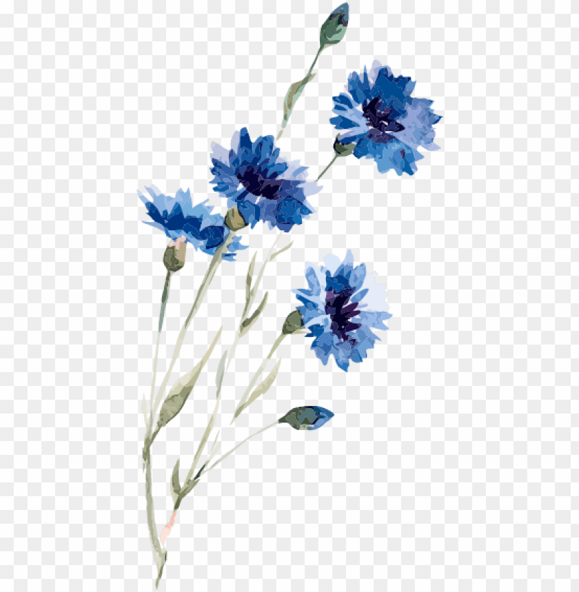 Watercolor Flower Drawing Blue Png Image With Transparent