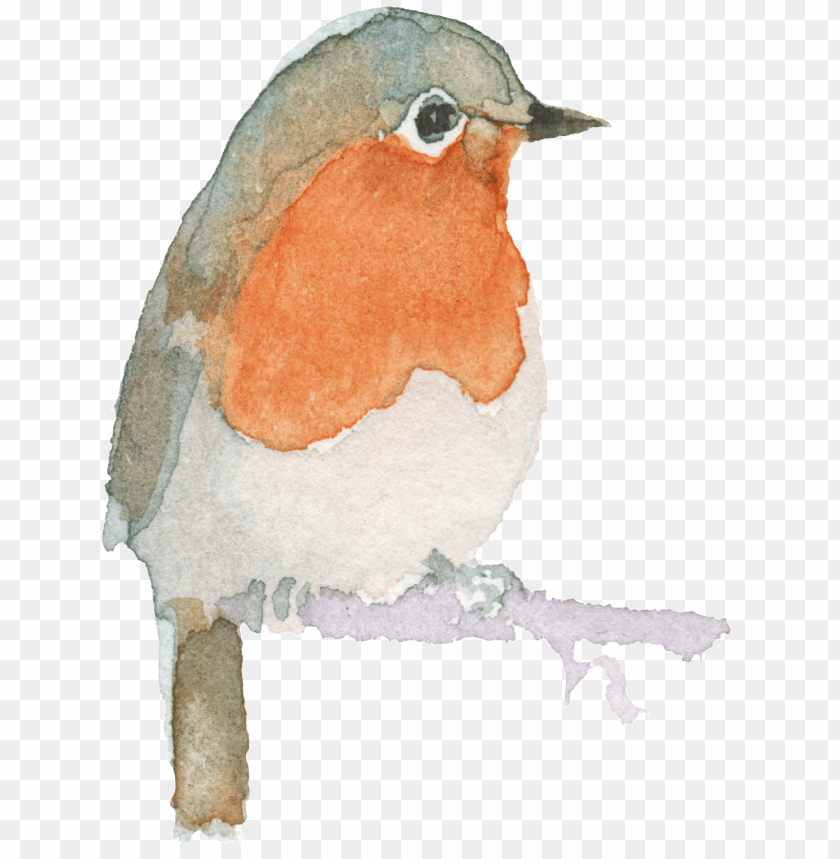 Free download | HD PNG watercolor painting PNG transparent with Clear ...