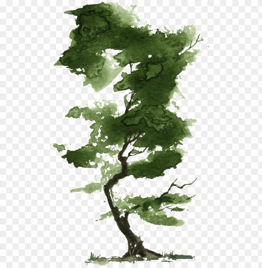 Free download | HD PNG watercolor tree PNG transparent with Clear ...
