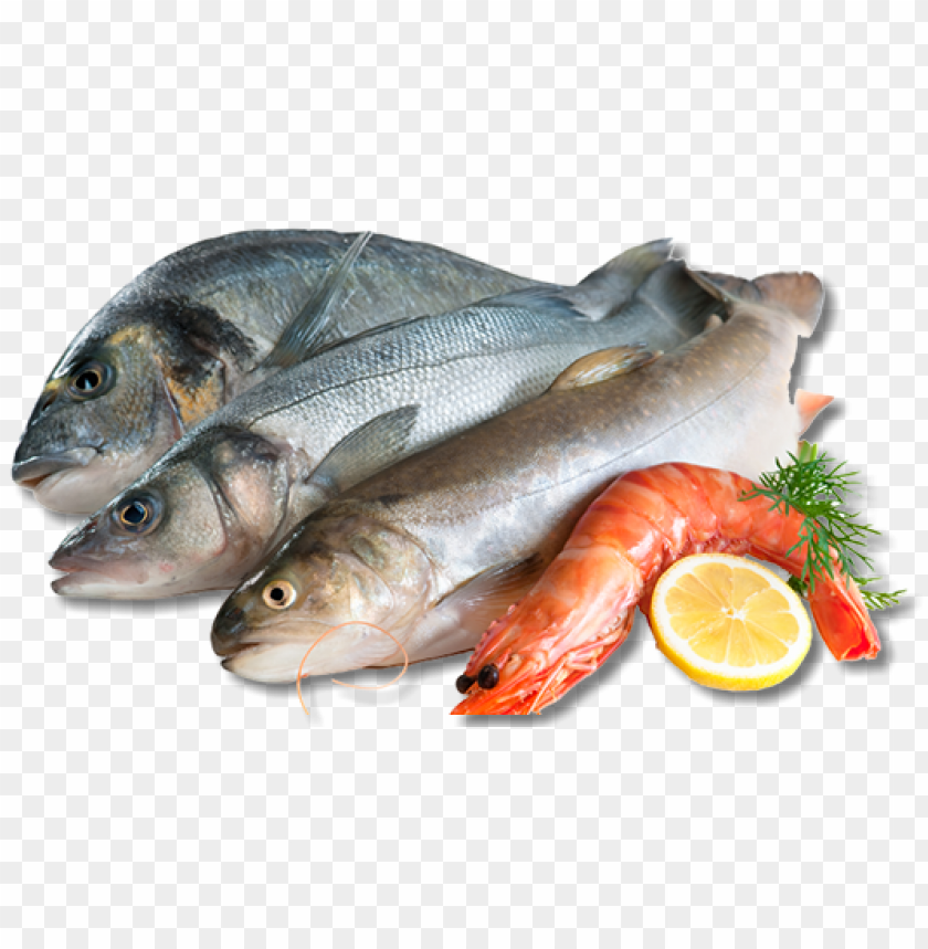 Free download | HD PNG we also offer complimentary fish frying at all ...