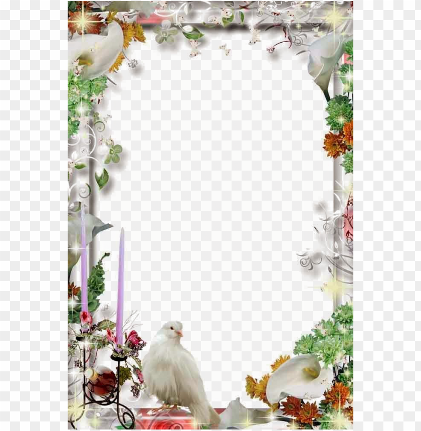 Free download | HD PNG wedding frame transparent file png png white ...