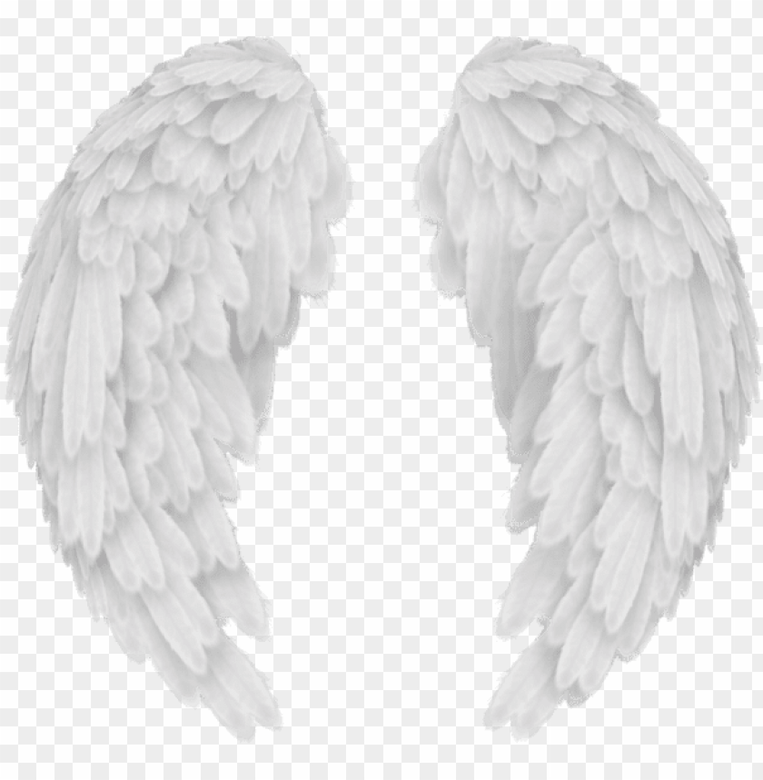 White Angel Wings Png Transparent Image Angel Wings No Background Png Image With Transparent Background Toppng