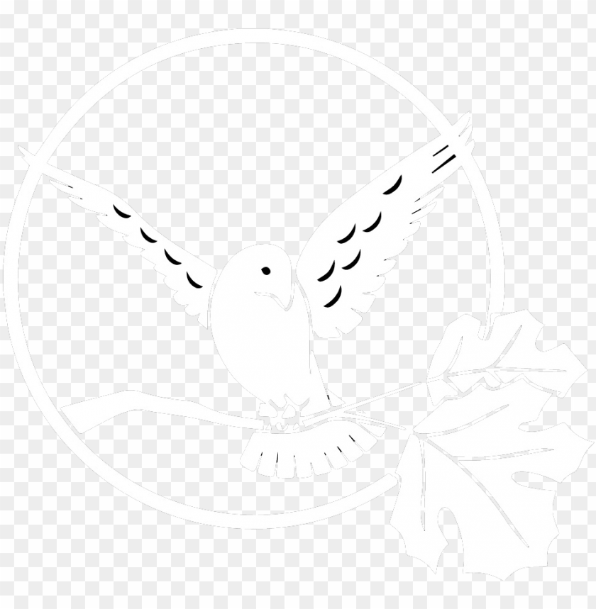 Free download HD PNG white bird dental clinic PNG transparent with