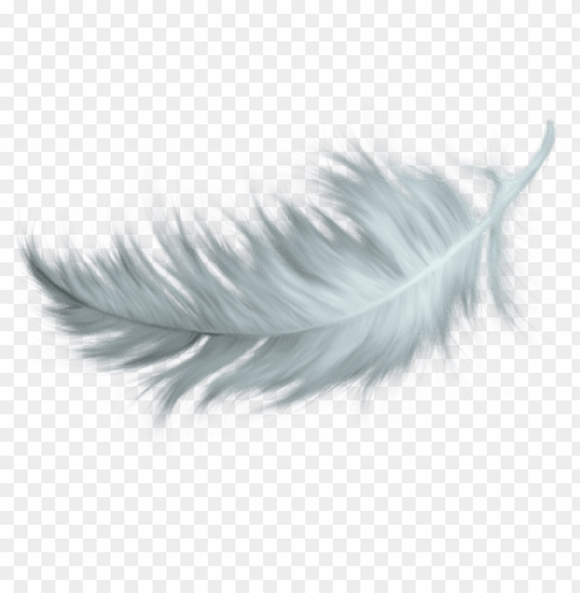 Free download | HD PNG white feather tattoos feather pen tattoo feather ...