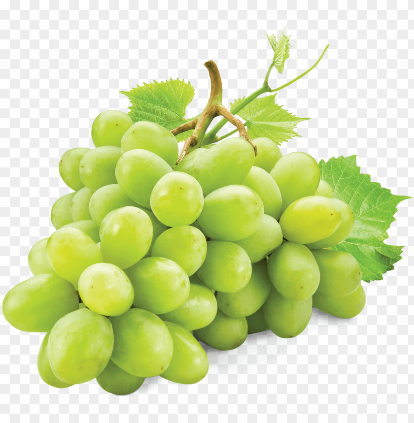 Free download | HD PNG white grape white grape PNG image with ...