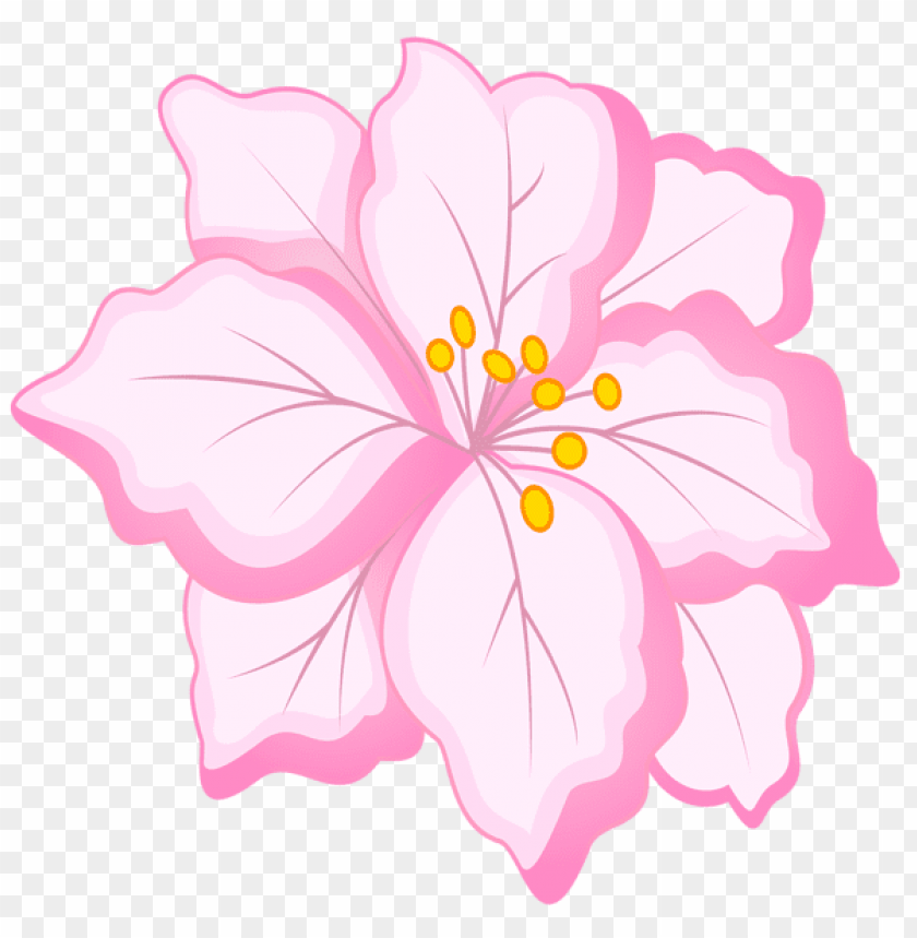 Free download | HD PNG PNG image of white pink flower with a clear ...
