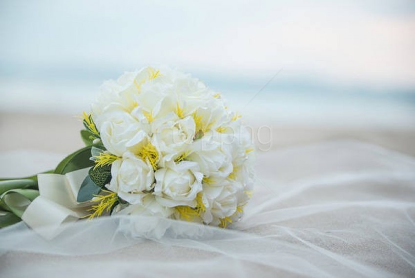 Free download | HD PNG white wedding bouquet background best stock