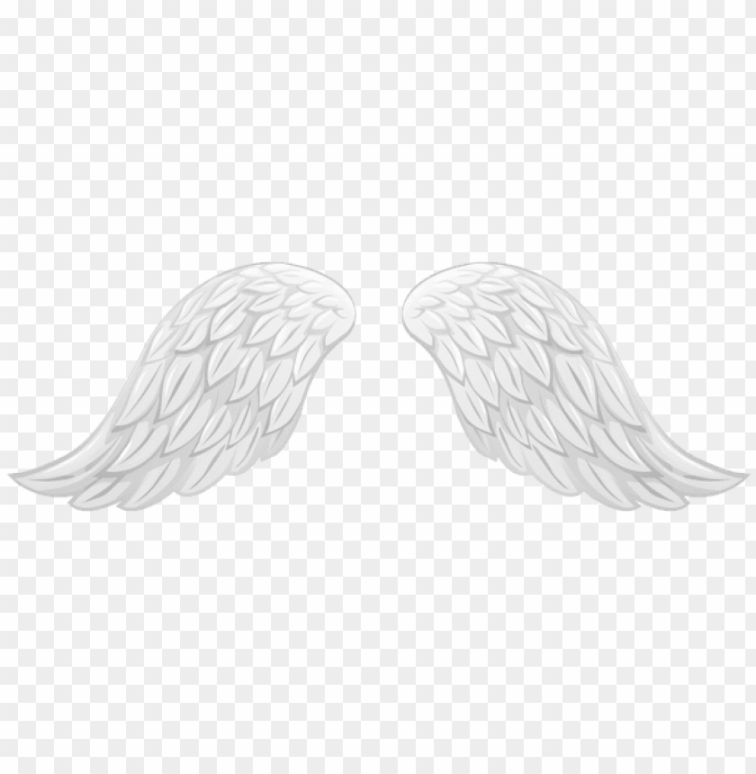 Free download | HD PNG Download white wings transparent clipart png ...