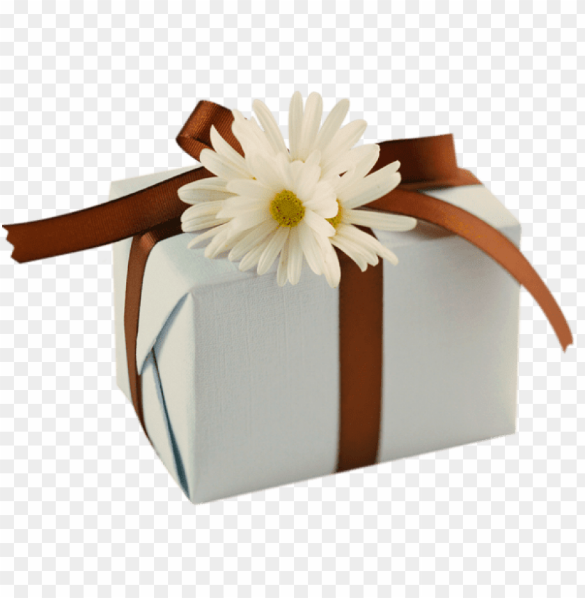 Free download HD PNG white with brown bow and daisies clipart png