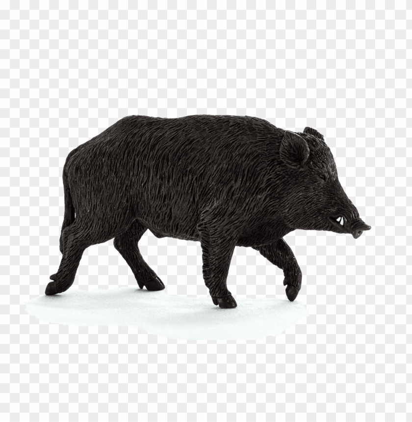 Free download | HD PNG wild boar png images background - Image ID 36169 ...