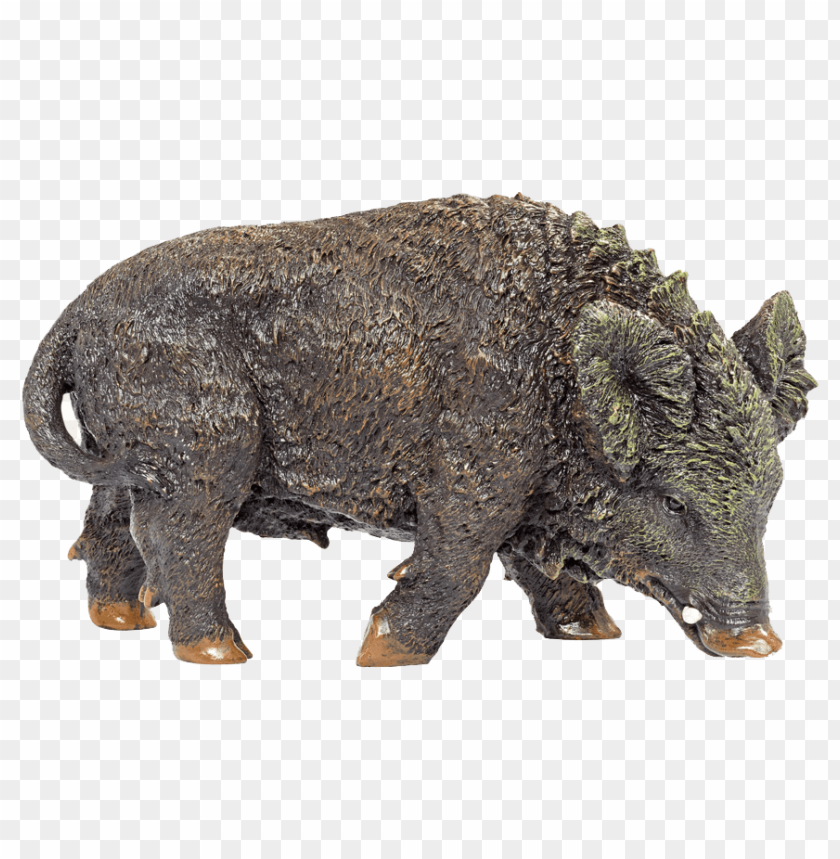 Free download | HD PNG wild boar | TOPpng