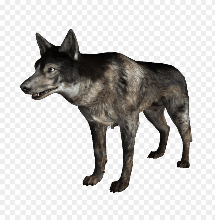 Free download | HD PNG wild dogs s png images background - Image ID ...