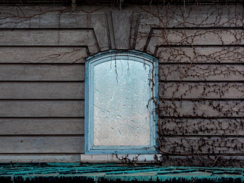 Free download | HD PNG window wall branches facade 4k wallpaper | TOPpng