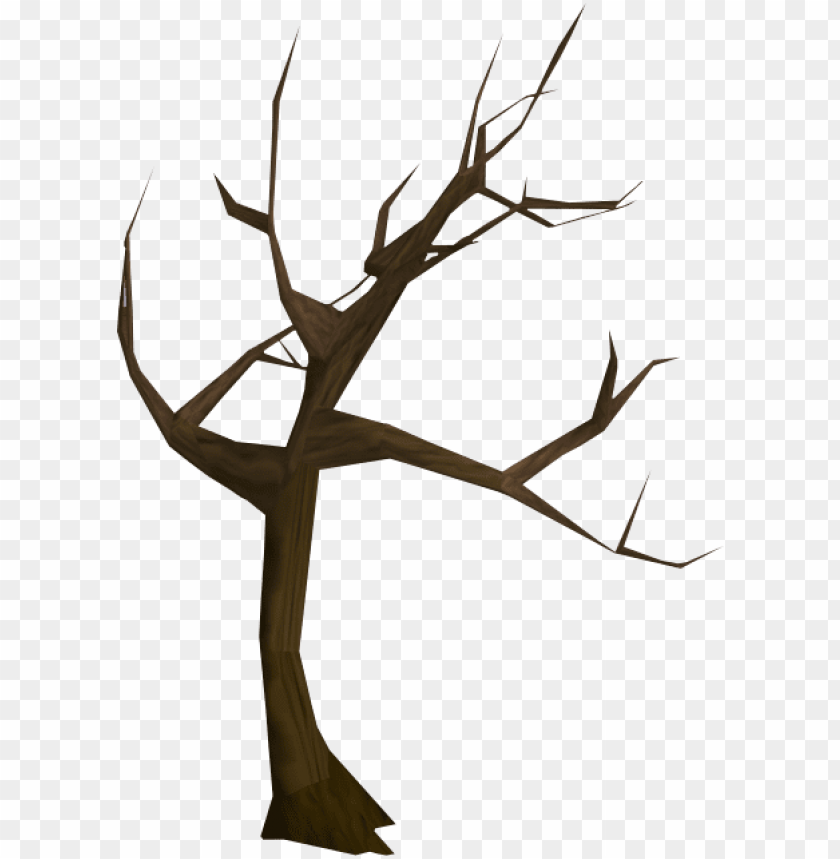 Free download | HD PNG windswept tree tree PNG transparent with Clear