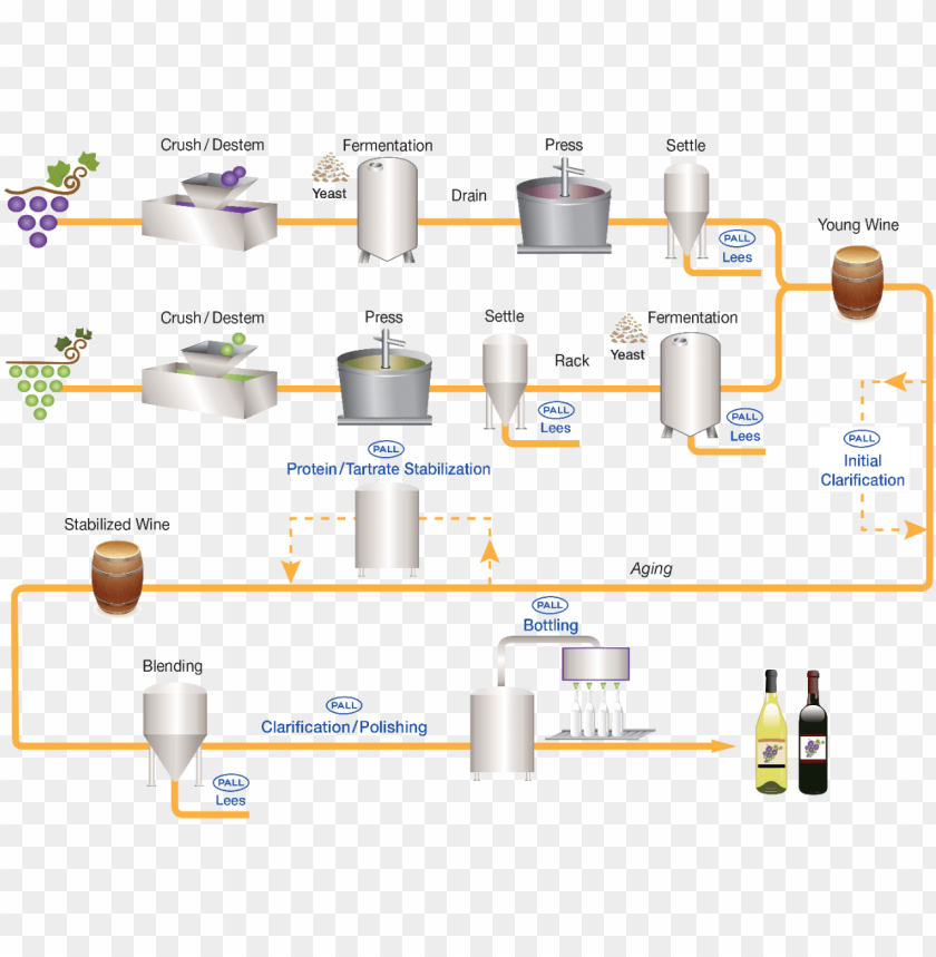 Free download | HD PNG wine filtration process flow diagram diagram PNG ...