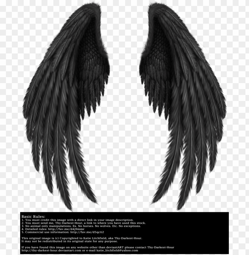 Download winged fantasy v 2 black by thy darkest hour - angel of death ...