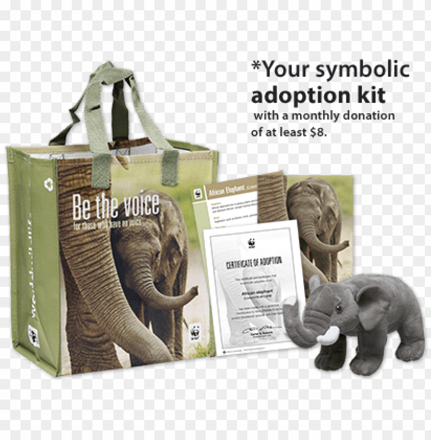 Download wwf elephant adoption certificate png Free PNG Images TOPpng