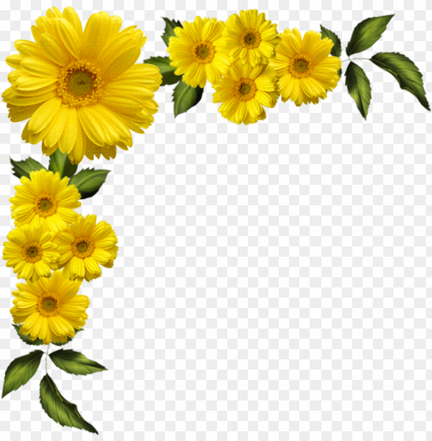 download png yellow flowers png gif base download png yellow flowers png gif