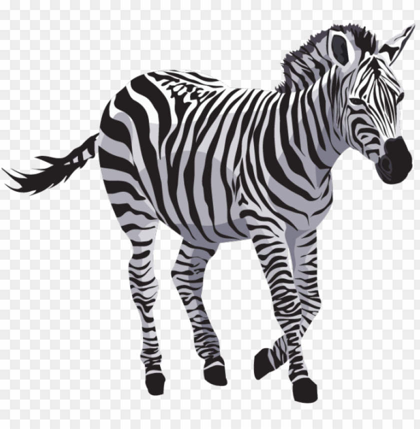 free PNG Download zebra png images background PNG images ...