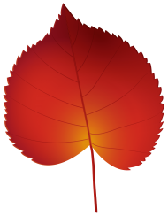 red autumn leaf