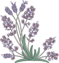 Download 05 Lavender Embroidery Pattern Lavender Flowers Png Free Png Images Toppng