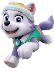 Download about everest - everest paw patrol personajes png - Free PNG ...