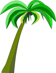 Download Alm Or Coconut Tree Clipart Black And White Download Coconut Palm Tree Clipart Png Free Png Images Toppng