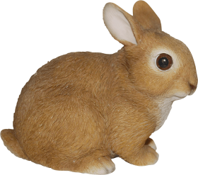 Download Baby Rabbits In Real Life Png Mart Easter Bunny Nail Rabbit Real Life Png Free Png Images Toppng - roblox logo png hd png mart