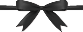 black ribbon bow PNG image with transparent background | TOPpng