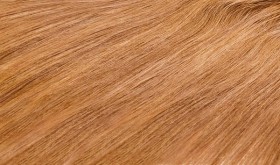 Download Blonde Hair Texture Png Free Png Images Toppng - roblox sand texture