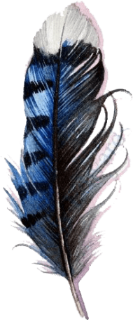 Download blue jay feather watercolor png - Free PNG Images | TOPpng
