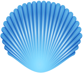 Download blue seashell transparent png - Free PNG Images | TOPpng