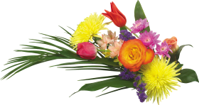 Download Bouquet Flowers Png Polevye Cvety Buket Png Free Png Images Toppng