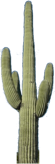 Free Free 148 Silhouette Saguaro Cactus Svg SVG PNG EPS DXF File