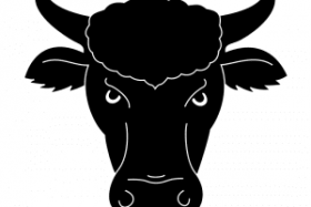 download carabao head png free png images toppng download carabao head png free png