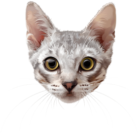 Download Cat Face Png Free Png Images Toppng - cat emoji roblox